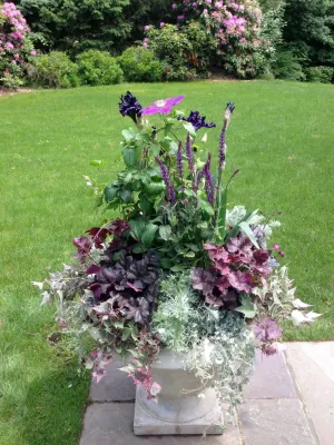 Jean Brooks Landscapes - Patio Design & Installation in Cambridge, MA