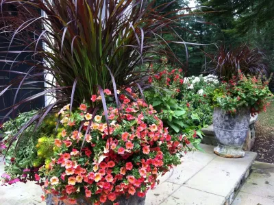 Jean Brooks Landscapes - Patio Design & Installation in Cambridge, MA