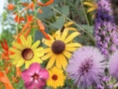 Jeff Macfarlan-Landscape Architect - Garden Remodeling in Nocatee, FL