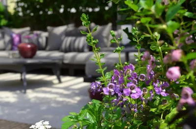 Jeffrey Erb - Garden Remodeling in New York, NY
