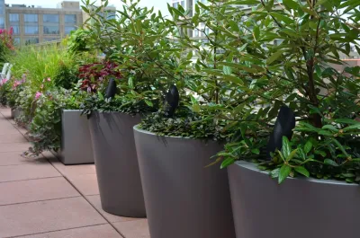 Jeffrey Erb - Garden Remodeling in New York, NY