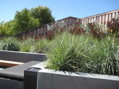 Mod Med — Landscape Design project by Jeffrey Gordon Smith Landscape Architecture