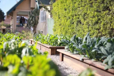 Alma Backyard Farms - Landscape Design in Los Angeles, CA