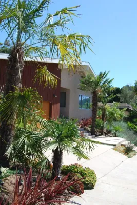 Jeremy Taylor Landscapes - Drought-Resistant Lawn Installation in Venice, CA