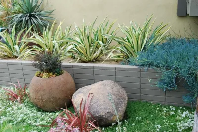 Santa Monica Apartments — Landscape Design project by Jeremy Taylor Landscapes in Santa Monica