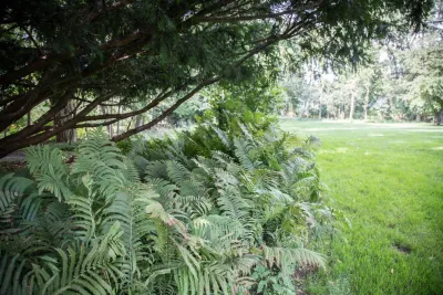 John de Lellis Gardens - Landscape Design in Boston, MA