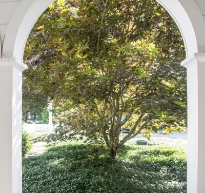 Farmer's Cliff — Landscape Design project by John De Lellis Gardens