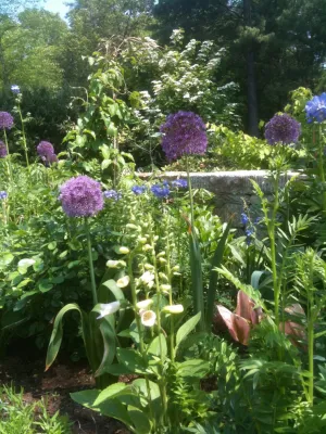 Punkatasset Hill — Landscape Design project by John De Lellis Gardens