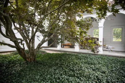 John de Lellis Gardens - Landscape Design in Boston, MA
