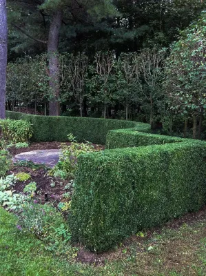 John de Lellis Gardens - Landscape Design in Boston, MA