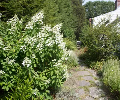 John de Lellis Gardens - Landscape Design in Boston, MA