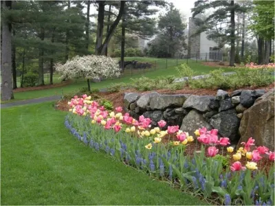 John's Landscape Service Inc. - Landscape Maintenance in Arlington, MA
