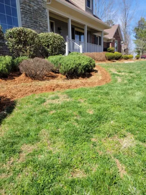 Alberto Alavez Professional Lawn Services LLC 10 — Landscape Construction project by Alberto Alavez Professional Lawn Services LLC