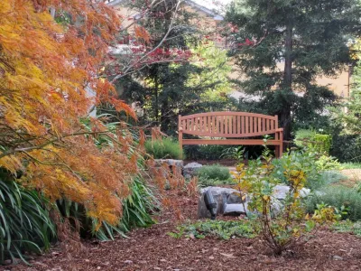 Jolee Horne Landscape Design - Outdoor Lighting Installation in Palo Alto, CA