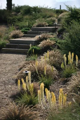 Jonathan Plant & Associates Landscape Architects - Garden Remodeling in St. Helena, CA