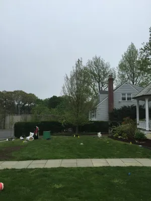 Joseph Bulfamante and Son Landscape Design/Build - Lawn Aeration in New Rochelle, NY