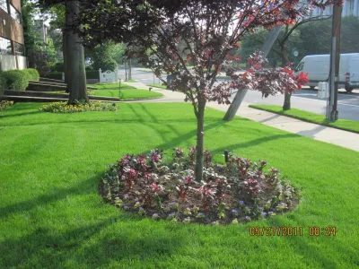 Joseph Bulfamante and Son Landscape Design/Build - Lawn Aeration in New Rochelle, NY