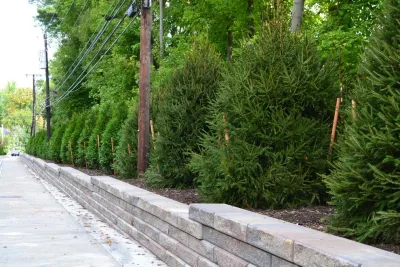 Joseph Bulfamante and Son Landscape Design/Build - Lawn Aeration in New Rochelle, NY