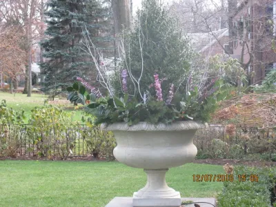 Joseph Bulfamante and Son Landscape Design/Build - Lawn Aeration in New Rochelle, NY