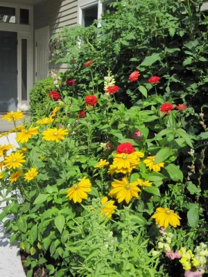 JuliaGarden Design Ltd. - Garden Remodeling in Osterville, MA