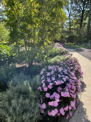 JuliaGarden Design Ltd. - Garden Remodeling in Osterville, MA