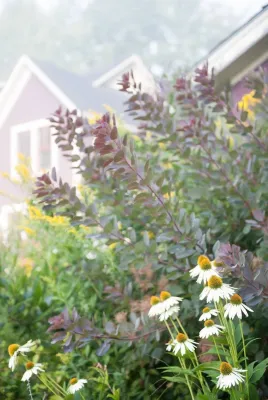 A Terraced Garden in Vermont — Landscape Design project by Julie Moir Messervy Design Studio (JMMDS)