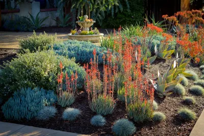South Pasadena Spanish — Landscape Design project by June Scott Design