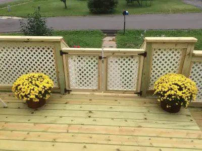 Marshall Handyman Services - House Painting Services in Duluth, MN