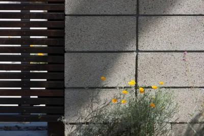 June Scott Design - Landscape Design in Los Angeles, CA