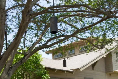 South Pasadena Craftsman Cottage — Landscape Design project by June Scott Design