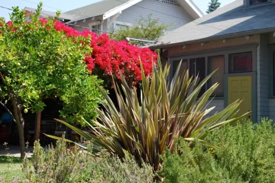 Los Angeles Transitional — Landscape Design project by June Scott Design in Los Angeles