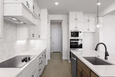 Downers Grove - Kitchen Renovation — Kitchen Remodeling project by Peter Renovations Inc