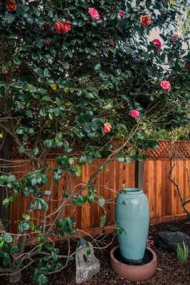 K & D Landscaping, Inc. - Drip Irrigation System Installation in Watsonville, CA