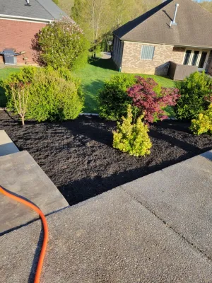 Alberto Alavez Professional Lawn Services LLC - Tree & Shrub Care in Louisville, KY