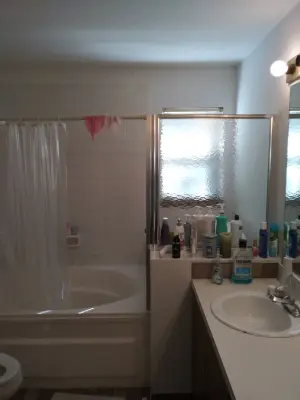 Elgin Primary Bath by Premier Kitchen & Bath Remodeling