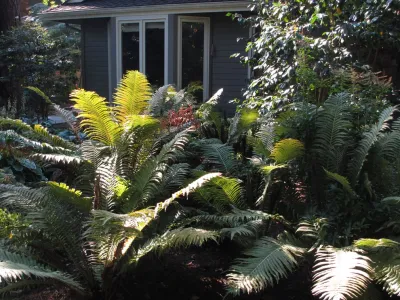 Kate Martin Design - Garden Remodeling in Seattle, WA
