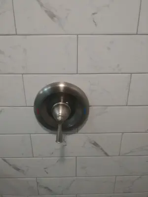 Basement Bathroom Renovation in Elmhurst by Premier Kitchen & Bath Remodeling