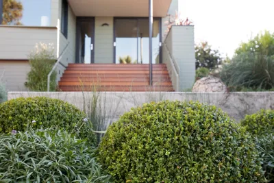 Katharine Webster Inc. - Landscape Design in San Francisco, CA
