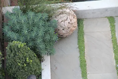 Katharine Webster Inc. - Landscape Design in San Francisco, CA