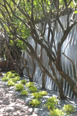 Katharine Webster Inc. - Landscape Design in San Francisco, CA