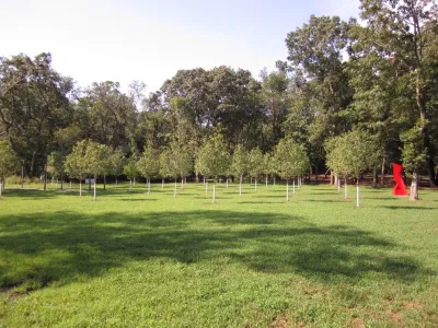 Meadow Passage — Landscape Design project by Katherine Field And Associates in North Kingstown