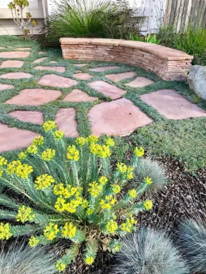 Sustainable Wildlife Garden — Landscape Design project by Kathy Henry Exterior Design in Oceanside