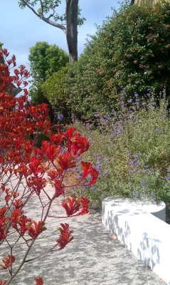 Southampton — Landscape Design project by Kathy Henry Exterior Design in Carlsbad