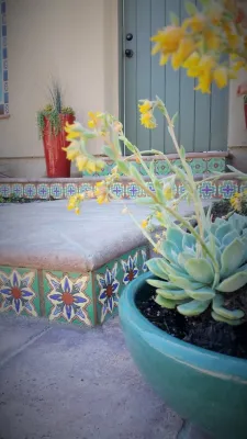Four Peaks — Landscape Design project by Kathy Henry Exterior Design in Carlsbad