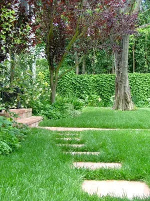 Katie Moss Landscape Design - Garden Remodeling in Brentwood, CA
