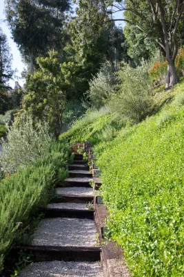 Katie Moss Landscape Design - Garden Remodeling in Brentwood, CA