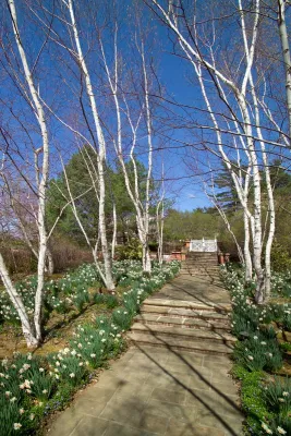 New England Manor — Landscape Design project by Keith E. Simpson Associates, Inc. in New Canaan