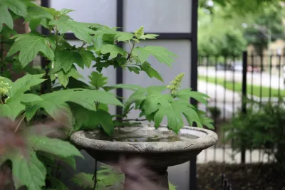 Kemora Landscapes - Outdoor Lighting Installation in Chicago, IL