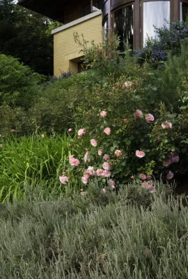 Lake Washington Residence — Landscape Design project by Kenneth Philp Landscape Architects