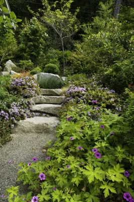 Kenneth Philp Landscape Architects - Garden Remodeling in Seattle, WA